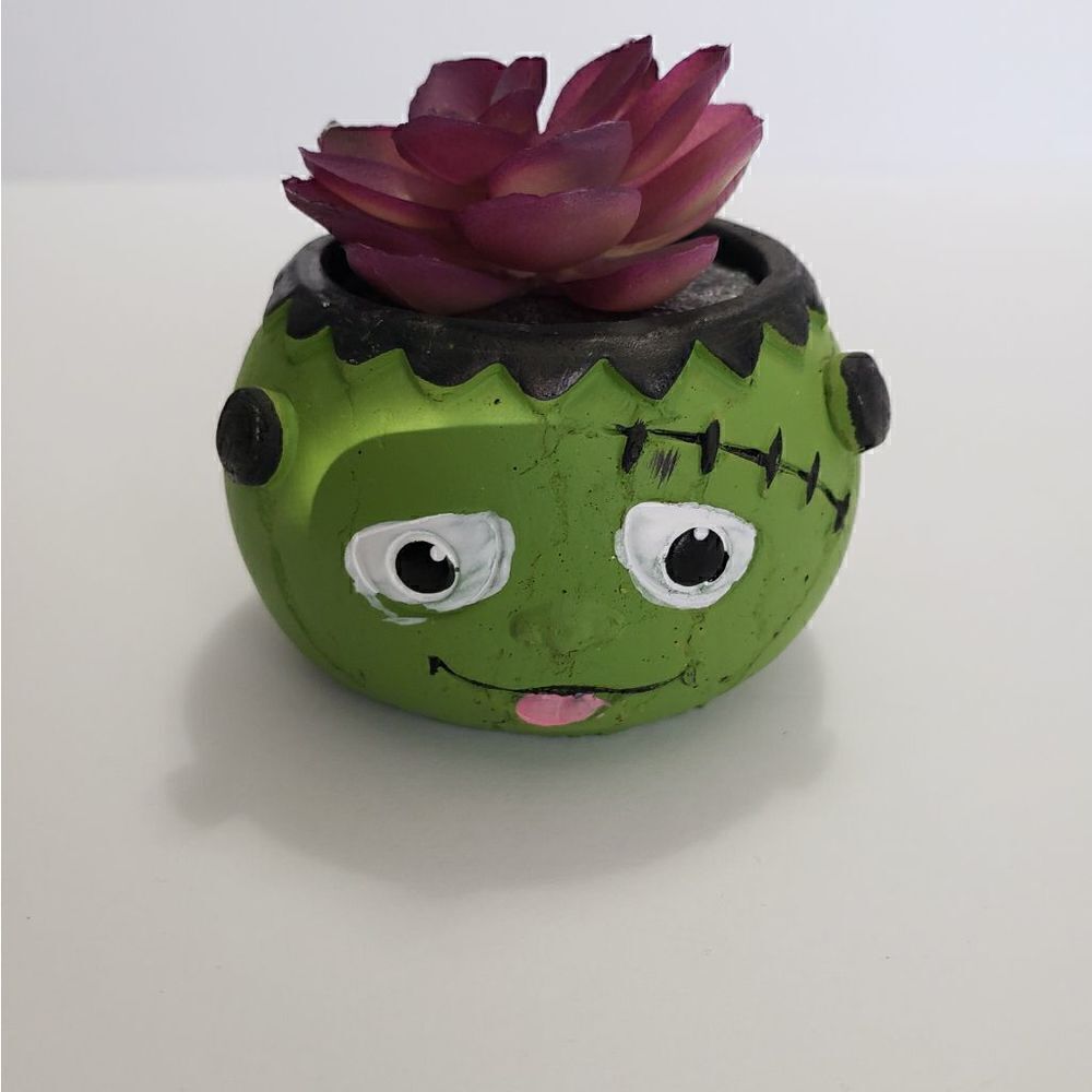 3 For $15 Frankinstein Ceramic Faux Succulent Planter